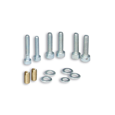 MALOSSI - STEHBolzenKIT VERGASERKITMEMBRANEINLAß VESPA PX-T5