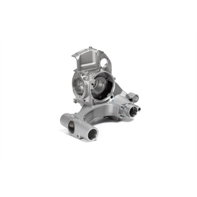 MALOSSI - V-One carter motore nudo