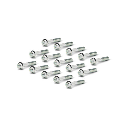MALOSSI - Complessivo 15 viti TEF 6x35 per carter trasmissione Piaggio